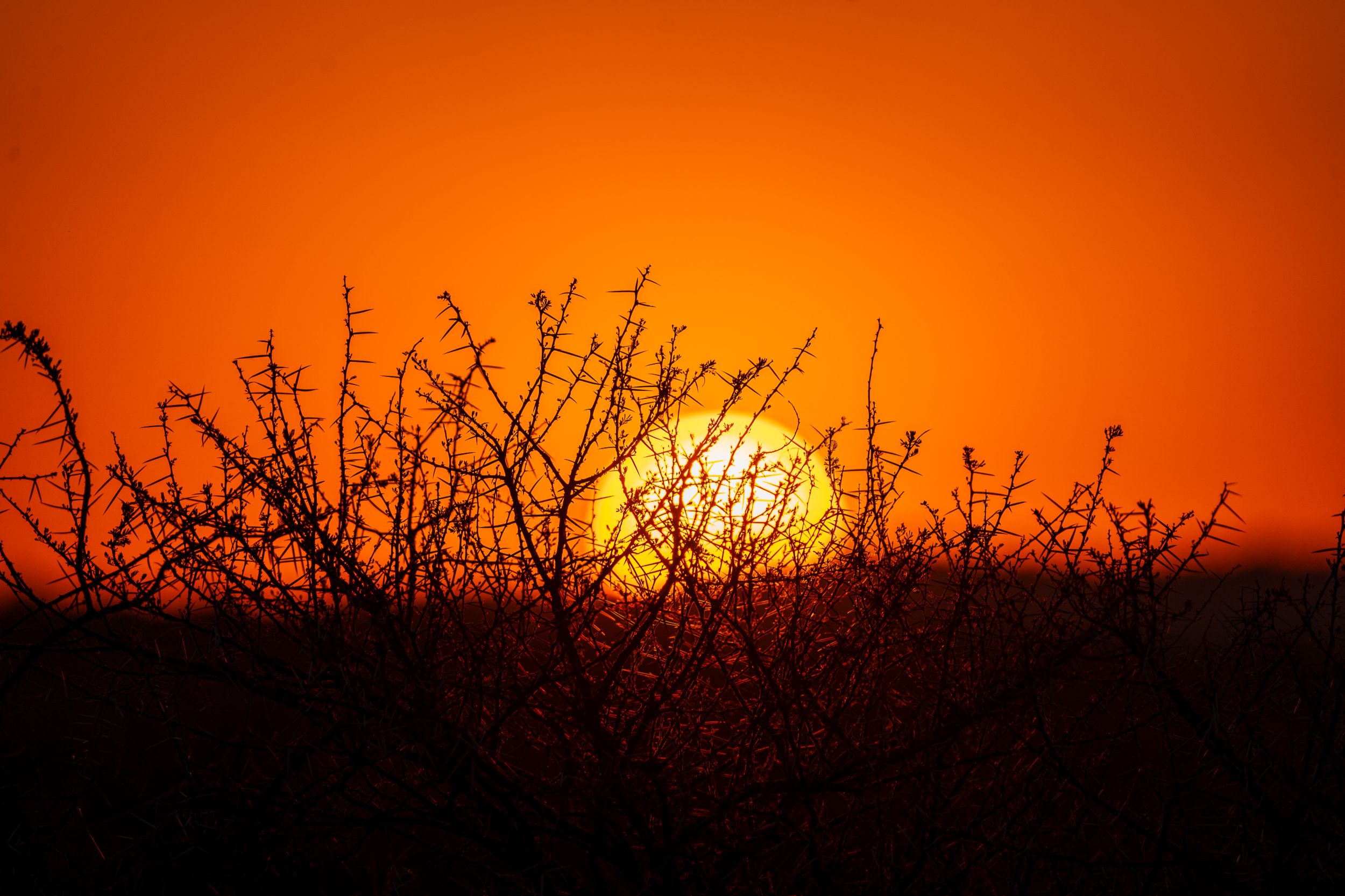 20230930 174433 Fotobuch Südafrika 04371